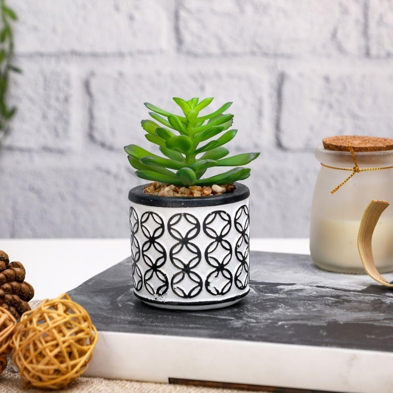 Satyam Kraft SATYAM KRAFT 1 Pc Aesthetic pigmyweeds Succulent Small Mini Plants Faux Flower Plant with Pot Add Charm to Your Home Decor GiftingOfficeRoom Decor Festival Decor  - Image 3