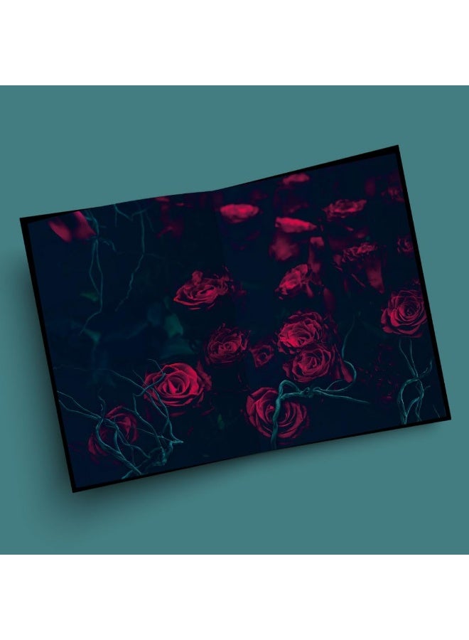 The Coven Special Edition - Image 2