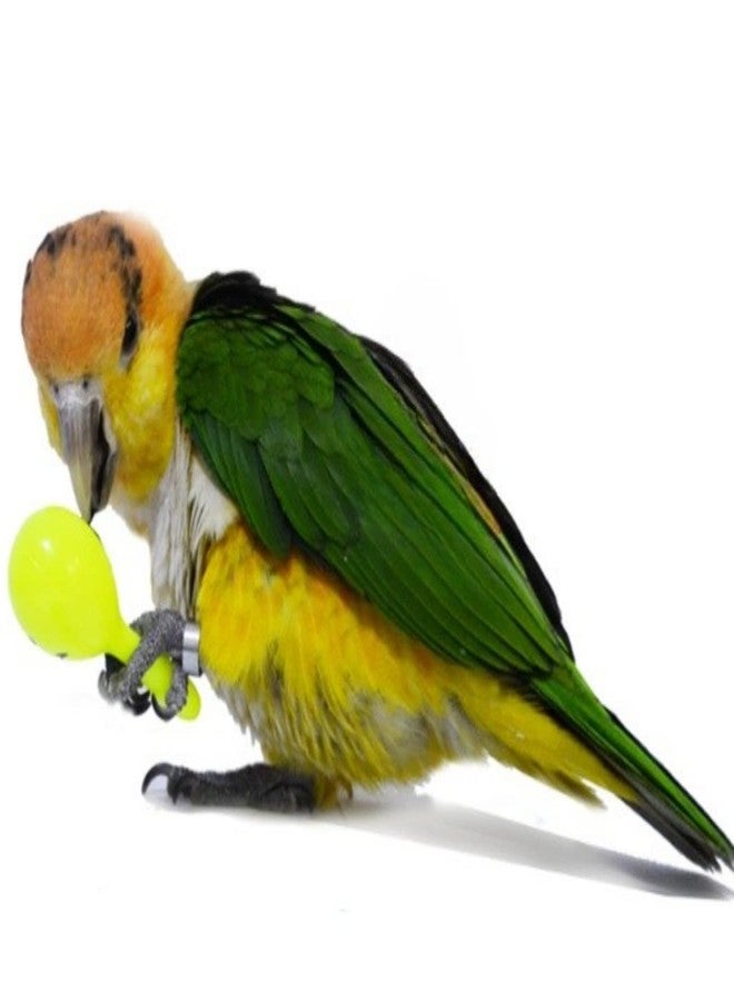 Barn Eleven 3PCS- Colourful Mini Ball Sand Hammer Parrot Rattle Shaker Musical Sound Toy Intelligent Sand Hammer Toys for Parakeets Canaries Cockatiels Conure Lovebirds(Random Color) - Image 5