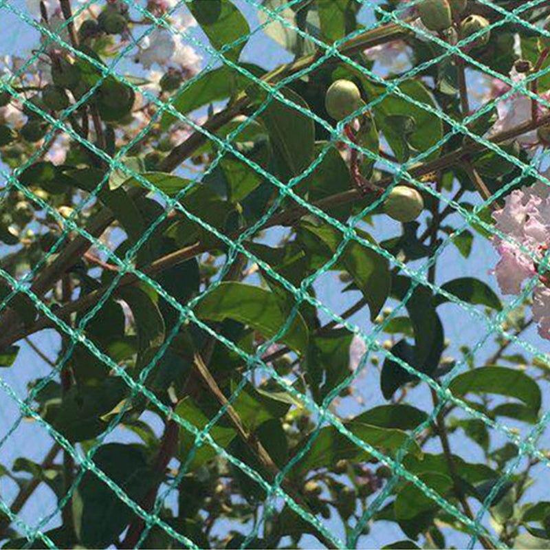 Bird Netting Anti Bird Netting Garden Net Reusable Protective Mesh Net Fencing Plant Trees Fruit Vegetables from Birds Deer - Image 3