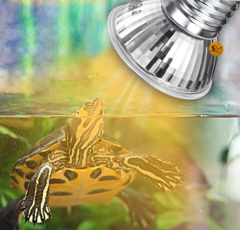 Sage Square مصباح حرارة الزواحف UVB، طيف كامل، مصباح ضوء الشمس لتنين اللحية، السحالي، السلاحف، الجيكو والمزيد (50 واط) - Image 5