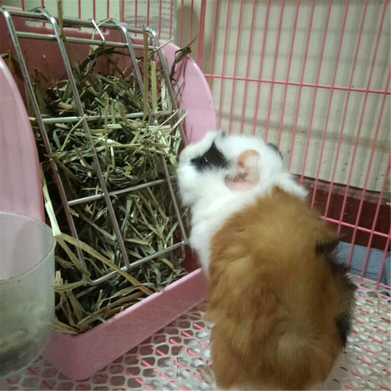 Guinea pig rabbit grass feeder spring grass rack Totoro pet supplies Dutch pig guinea pig rabbit grass food basket - Image 4