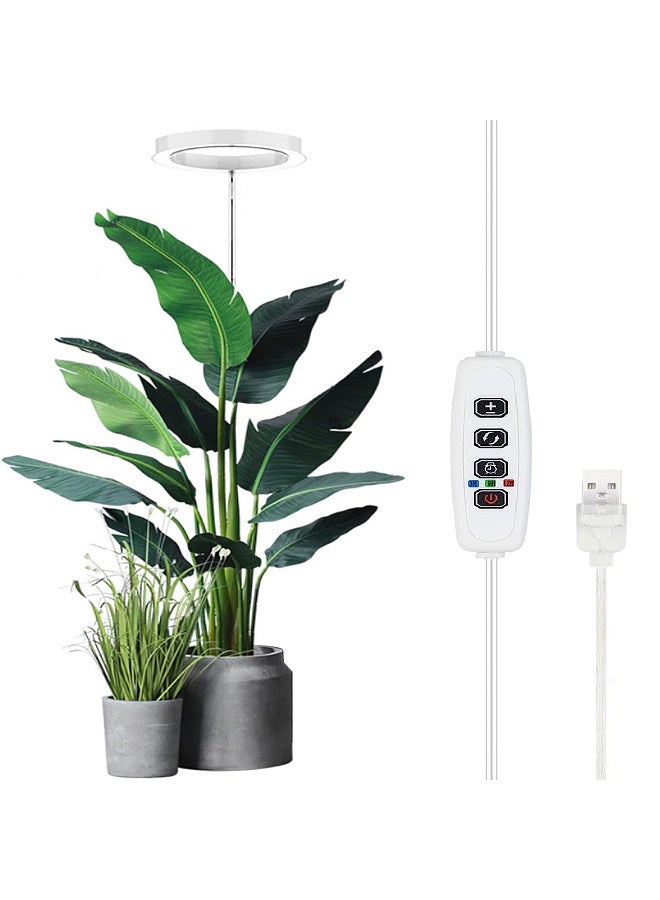 Generic Plant Grow Light Floor Lamp Floor Model Full Spectrum Sunlight Large Potted Plant Fill Light 3/9/12 Hours Timing 10 Levels Dimming  - Image 1