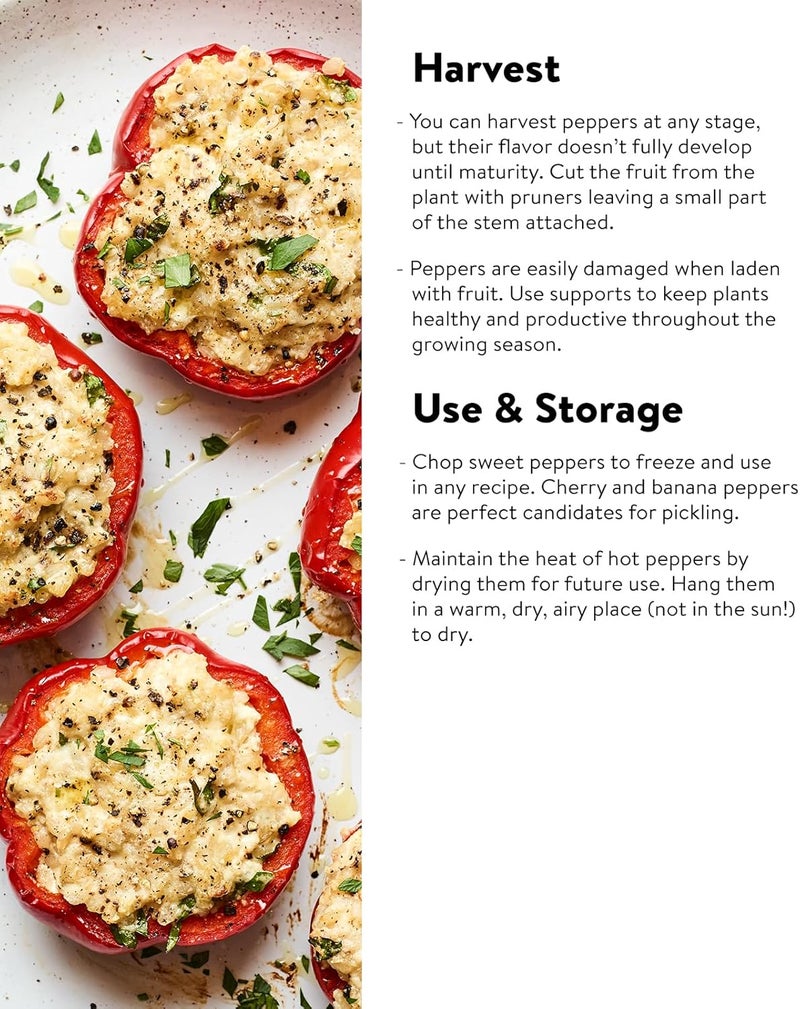 Burpee Carnival Mix Hybrid Organic Sweet Pepper Seeds 100 seeds - Image 3