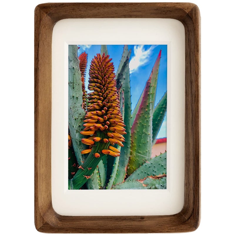 Natural Wood Photo Frames Inspired Tabletop Picture Frame with Mat  Vertical or Horizontal Display (Walnut  3x4 matted to 2x3)  - Image 1