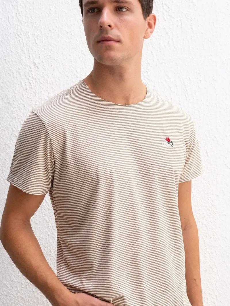 Giesto Beaver Brown GIESTO Striped Crew Neck T-Shirt with Embroidery for Men | Best Price UAE