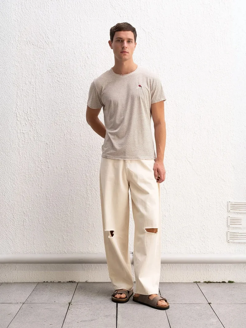 Giesto Beaver Brown GIESTO Striped Crew Neck T-Shirt with Embroidery for Men | Best Price UAE