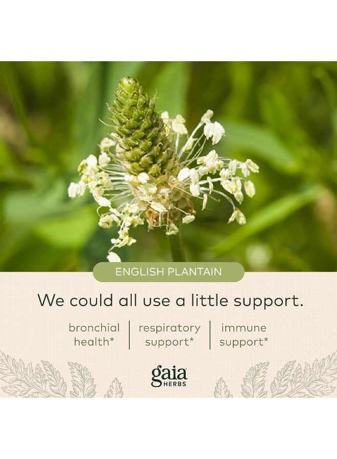 Gaia Herbs شراب صحة الشعب الهوائية للأطفال دعم المناعة مكمل دعم صحة الحلق والرئة 3 أونصة سائلة 18 حصة - Image 2