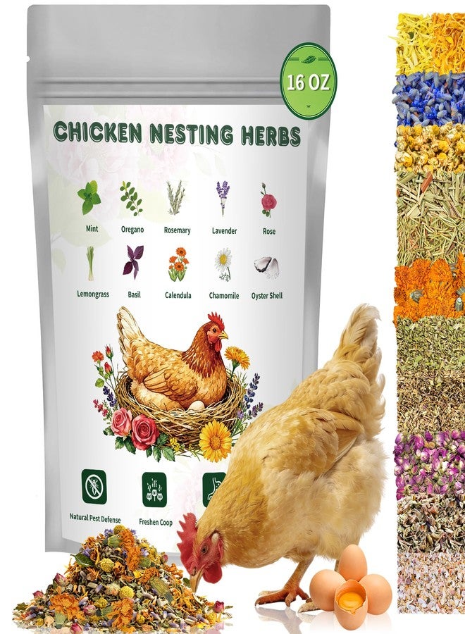 BGraceyy Chicken Nesting Herbs 16 oz – 11 Natural Dried Herb Blend with Marigold for Chicken Coop & Roost Refresh, Nesting Box & Dust Bath, Supports Natural Nesting Behavior - Image 1