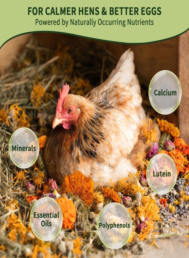 BGraceyy Chicken Nesting Herbs 16 oz – 11 Natural Dried Herb Blend with Marigold for Chicken Coop & Roost Refresh, Nesting Box & Dust Bath, Supports Natural Nesting Behavior - Image 4
