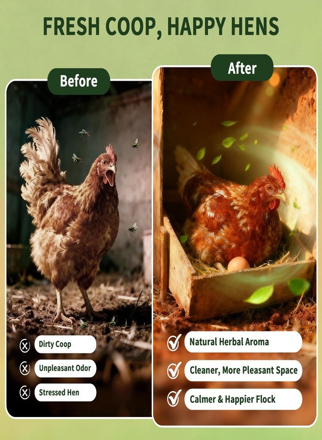 BGraceyy Chicken Nesting Herbs 16 oz – 11 Natural Dried Herb Blend with Marigold for Chicken Coop & Roost Refresh, Nesting Box & Dust Bath, Supports Natural Nesting Behavior - Image 3