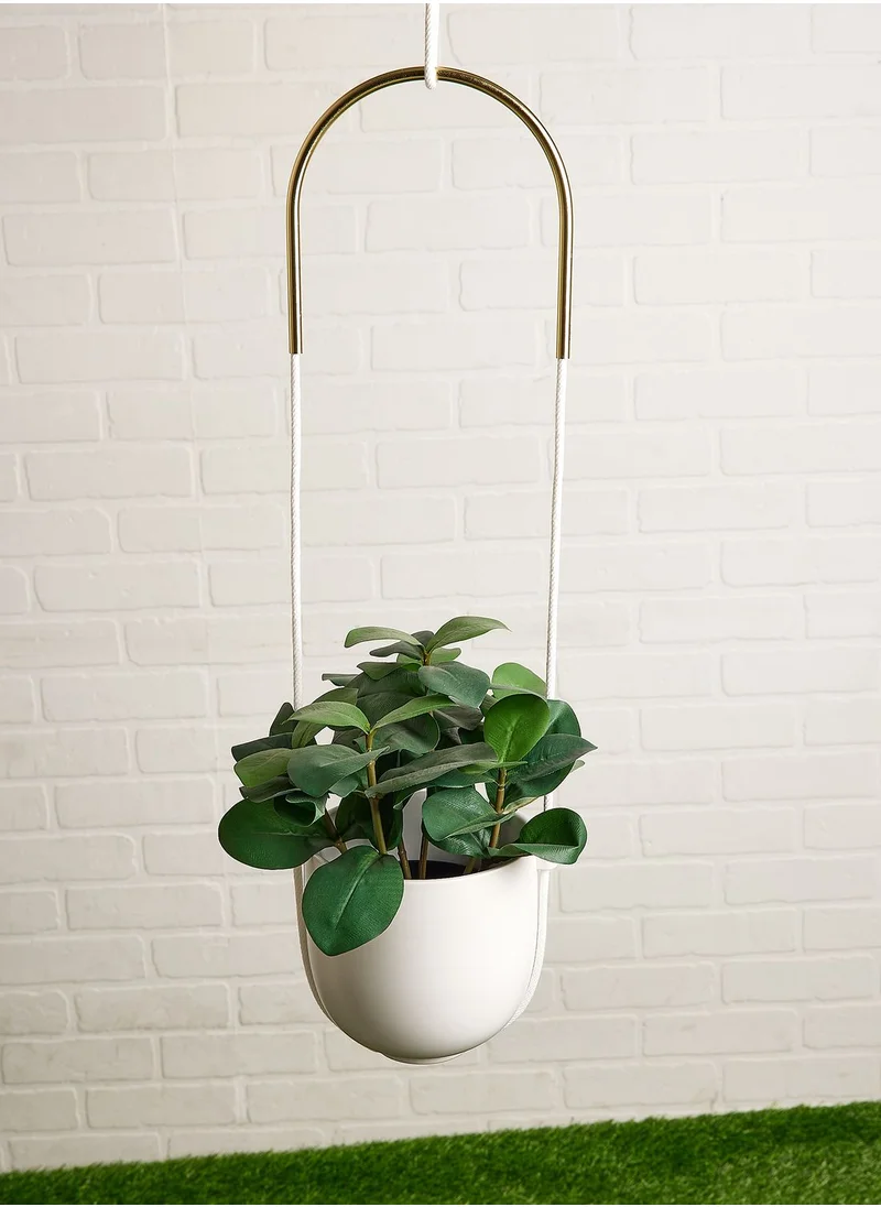 UMBRA Bolo Planter