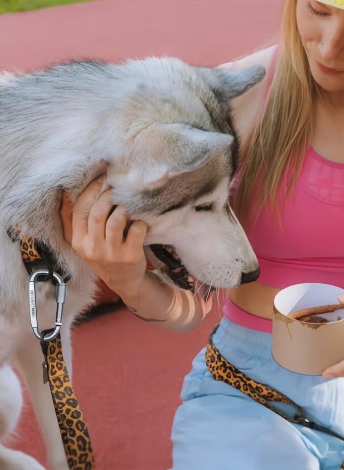 2 قطعة مشبك D-Clip متين بقفل حلقة تسلق سلسلة مفاتيح مشبك قفل تلقائي لتأمين الحيوانات الأليفة، في الهواء الطلق، التخييم، المشي لمسافات طويلة، الأرجوحة، حزام مقود الكلب - Image 5