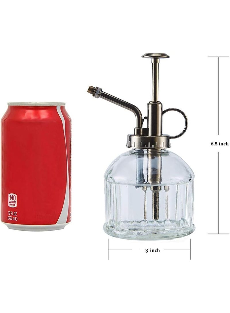 بخاخ زجاجي للنباتات – تصميم كلاسيكي مع مضخة علوية للرش، مناسب للنباتات الداخلية والخارجية (شفاف) - Image 3