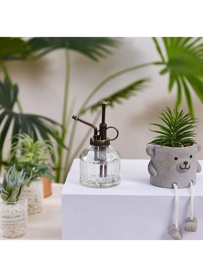 بخاخ زجاجي للنباتات – تصميم كلاسيكي مع مضخة علوية للرش، مناسب للنباتات الداخلية والخارجية (شفاف) - Image 5