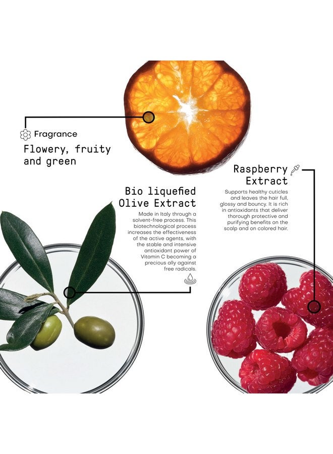 فراميسي شامبو FRAMESI Morphosis Color Protect سعة 8.4 أونصة سائلة - Image 3