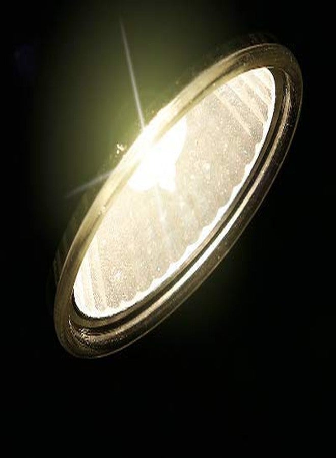 NomoyPet مصباح NomoyPet للزواحف والسلاحف الصغيرة UVA UVB 3.0 ND-10 (25 واط) - Image 5