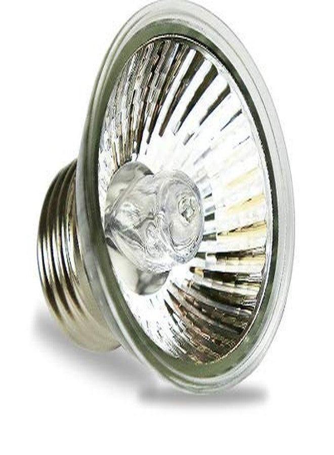 NomoyPet مصباح NomoyPet للزواحف والسلاحف الصغيرة UVA UVB 3.0 ND-10 (25 واط) - Image 3