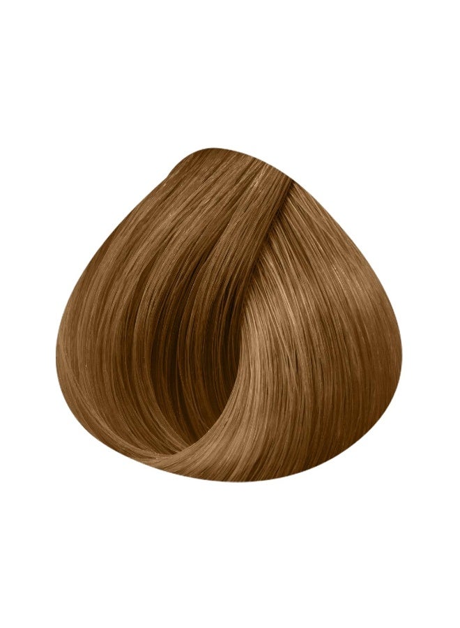 VIZO PROFESSIONAL vizo permanent hair color cream VERY LIGHT GOLDEN BLONDE 9.3 120ML - Image 2