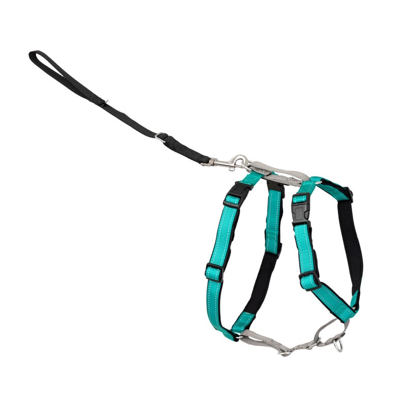 PetSafe 3-in-1 Harness - Comfortable Easy-Walk Dog Chest Harness with Front Leash Attachment to Reduce Pulling, Choking & Gagging - Dog Obedience Gear - Medium - Teal - Image 1