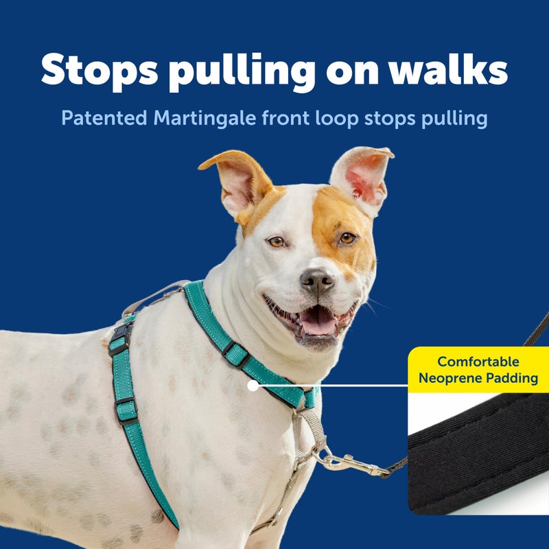 PetSafe 3-in-1 Harness - Comfortable Easy-Walk Dog Chest Harness with Front Leash Attachment to Reduce Pulling, Choking & Gagging - Dog Obedience Gear - Medium - Teal - Image 3