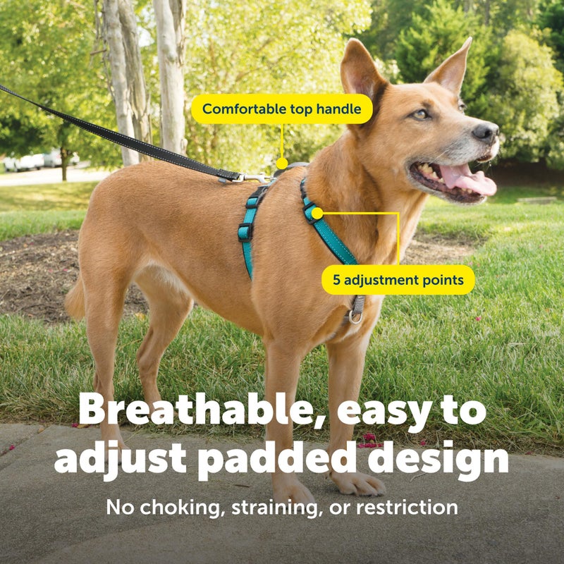 PetSafe 3-in-1 Harness - Comfortable Easy-Walk Dog Chest Harness with Front Leash Attachment to Reduce Pulling, Choking & Gagging - Dog Obedience Gear - Medium - Teal - Image 4