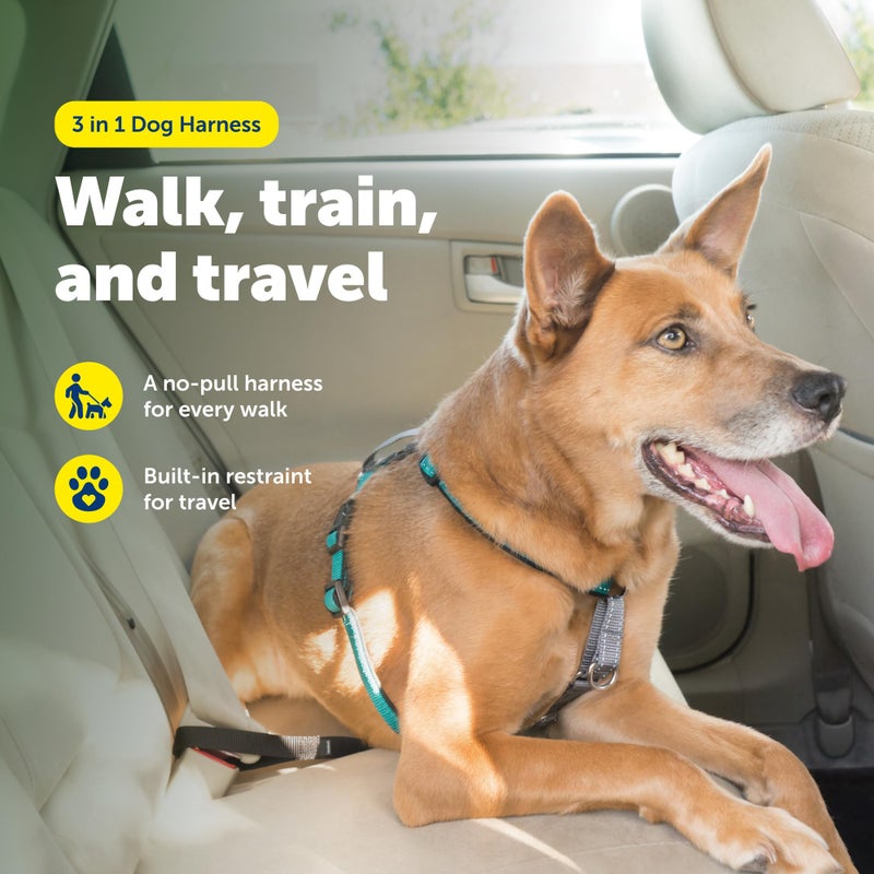 PetSafe 3-in-1 Harness - Comfortable Easy-Walk Dog Chest Harness with Front Leash Attachment to Reduce Pulling, Choking & Gagging - Dog Obedience Gear - Medium - Teal - Image 2