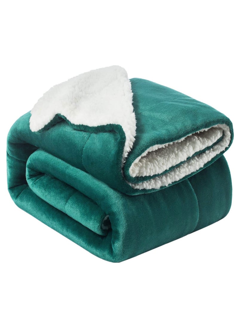 Fabienne - Sherpa Blanket Single Size Plush Throw Single Bed Blanket Warm and Plush Travel Blanket Green 160x220 cm - Image 1