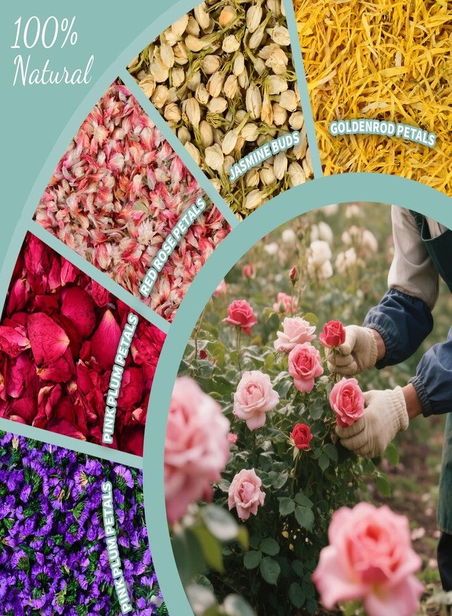 Koceko 40+ Cups 9.3oz Real Biodegradable Flower Petal Wedding Confetti, 5 QT 5 Kinds Colorful Mixed Petal Confetti with Dried Rose Petal & Jasmine Buds, DIY Wedding Decor for Flower Girl Bridal - Image 4