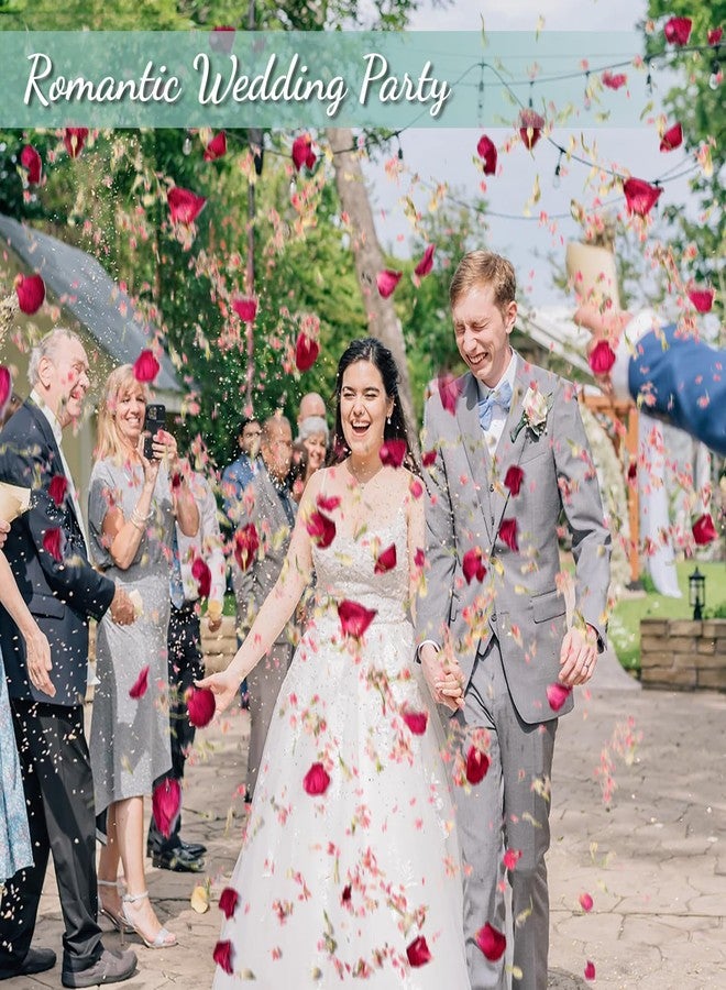 Koceko 40+ Cups 9.3oz Real Biodegradable Flower Petal Wedding Confetti, 5 QT 5 Kinds Colorful Mixed Petal Confetti with Dried Rose Petal & Jasmine Buds, DIY Wedding Decor for Flower Girl Bridal - Image 3