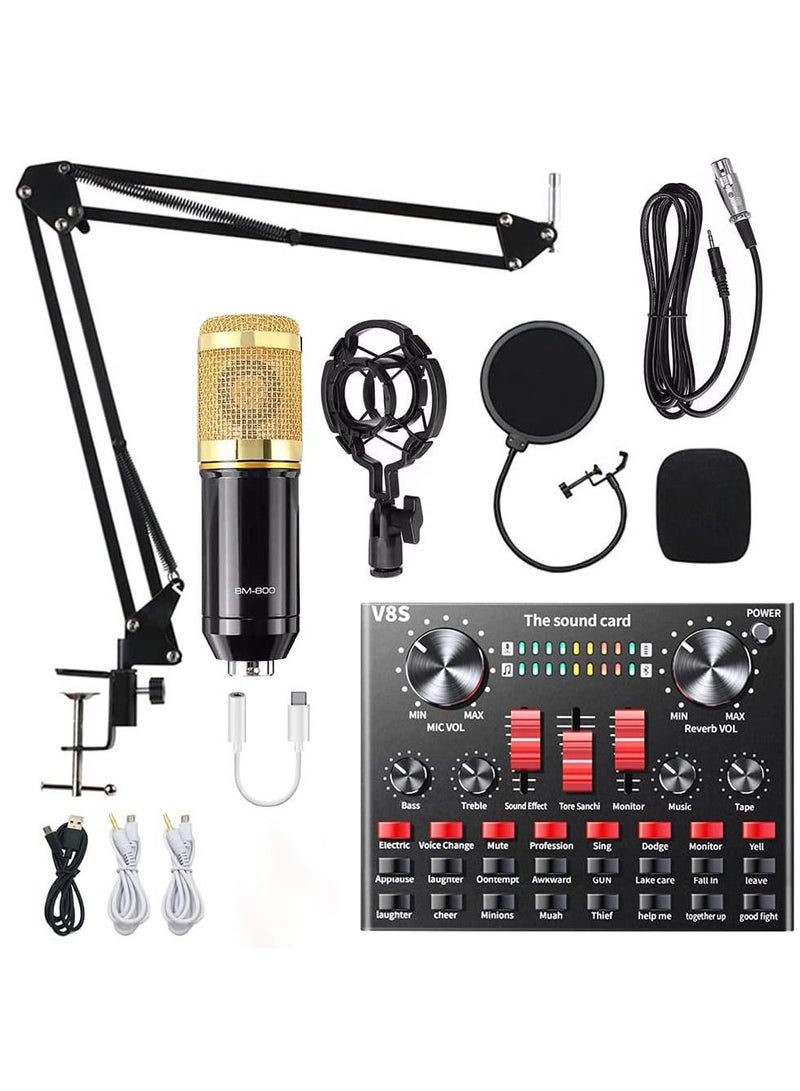 LEDIN Condenser Microphone Bundle, ALPOWL BM-800 Mic Kit with Live Sound Card, Adjustable Mic Suspension Scissor Arm, Metal Shock Mount and Double-Layer Pop Filter for Studio Recording & Broadcasting Gold 