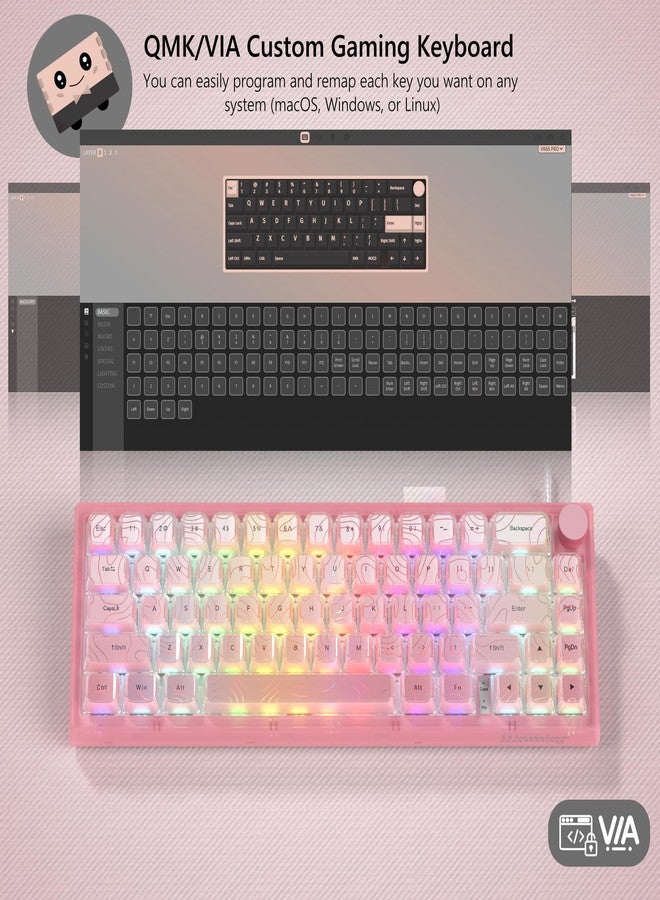 Womier 60% Percent Keyboard Pink Mechanical, QMK/VIA Creamy Gaming Keyboard Topographic, Hot Swappable Gasket Mount RGB Wired Key Board & Translucent Keycaps(VK66 PRO) - Image 2