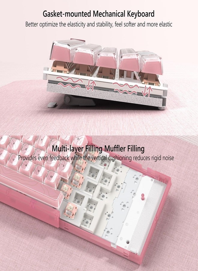 Womier 60% Percent Keyboard Pink Mechanical, QMK/VIA Creamy Gaming Keyboard Topographic, Hot Swappable Gasket Mount RGB Wired Key Board & Translucent Keycaps(VK66 PRO) - Image 4