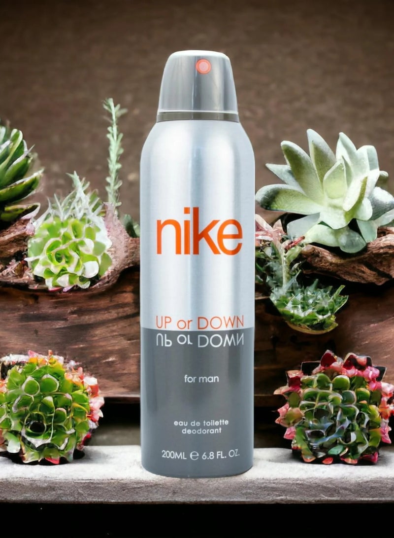 نايكي مزيل عرق نايكي أب أور داون سيلفر للرجال، 200 مل - Image 2