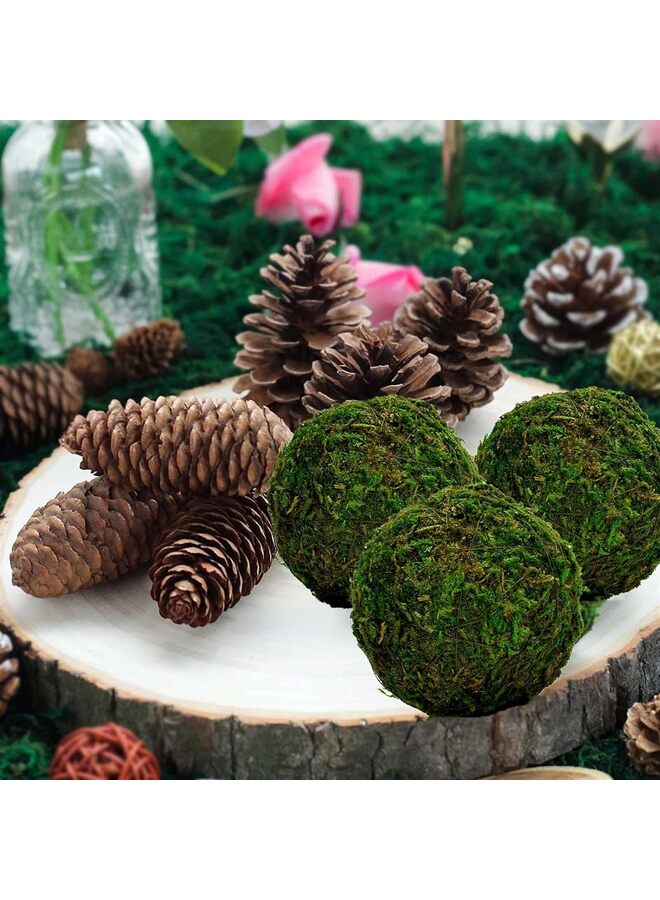 يُسلِّم كرات طحالب زخرفية كبيرة، 6 قطع، كرات طحالب خضراء مجففة مقاس 3.1 بوصة، كرات طحالب صناعية خضراء، ديكور طحالب لحشو الأوعية، ديكورات حفلات الزفاف، قطعة مركزية - Image 5