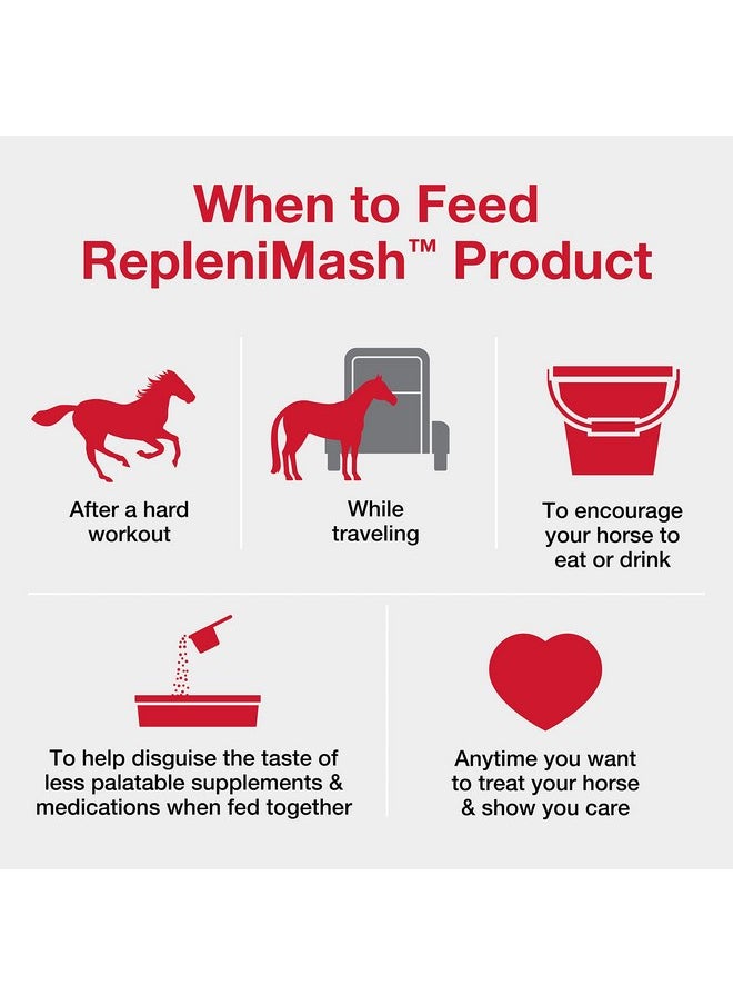 PURINA - Purina | RepleniMash™ Product | Horse Mash (7 lb) - Image 1