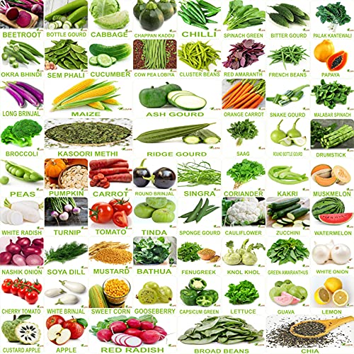 FLARE SEEDS No.1 Organic, Winter, Summer, Home Garden, Seeds Bank, Vegetable 65 Seeds Combo - Image 1
