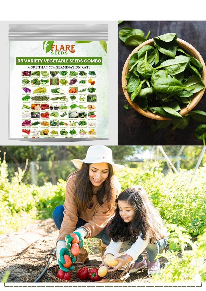 FLARE SEEDS No.1 Organic, Winter, Summer, Home Garden, Seeds Bank, Vegetable 65 Seeds Combo - Image 4