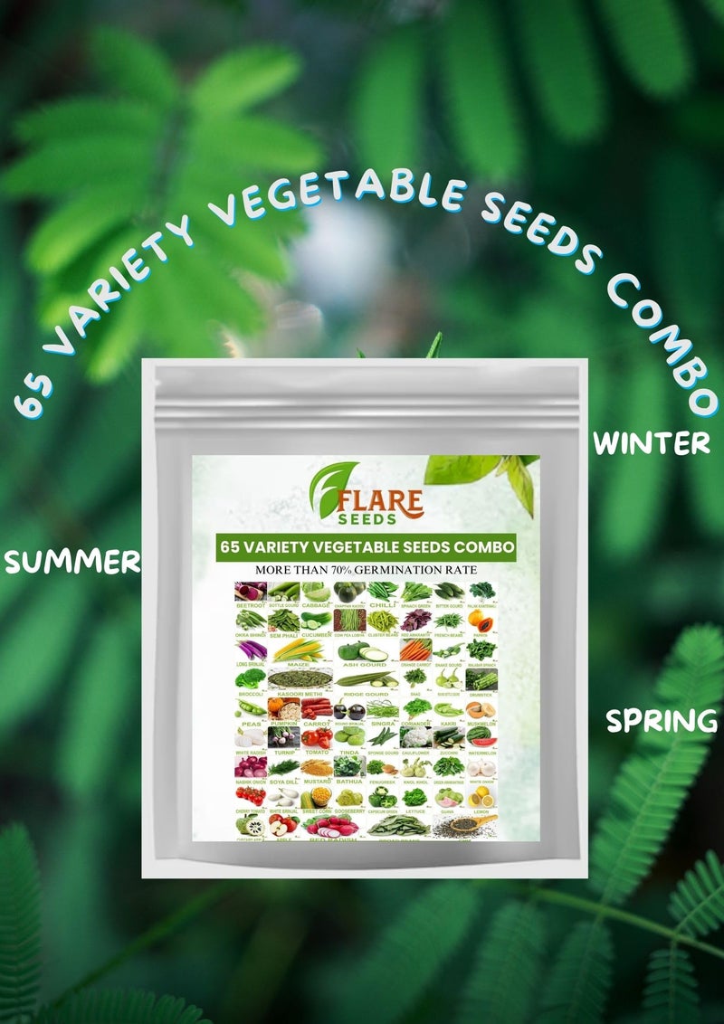 FLARE SEEDS No.1 Organic, Winter, Summer, Home Garden, Seeds Bank, Vegetable 65 Seeds Combo - Image 5