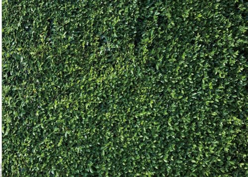 OUYIDA 10X8FT Green Leaves Photography Backdrops Leaf Green Vertical Texture Backdrop Birthday Background for Birthday Party Seamless Photo Booth Vinyl Backdrop PCK41D - Image 1