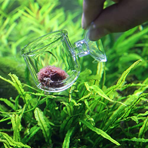 Caylingdee Glass Aquarium Red Worm Fish Feeder Cone Feeder Red Worm Fish Tank Plant Shrimp Feeder Cup Fish Feeding Cup with Suction for Aquarium Fish Tank - Image 4