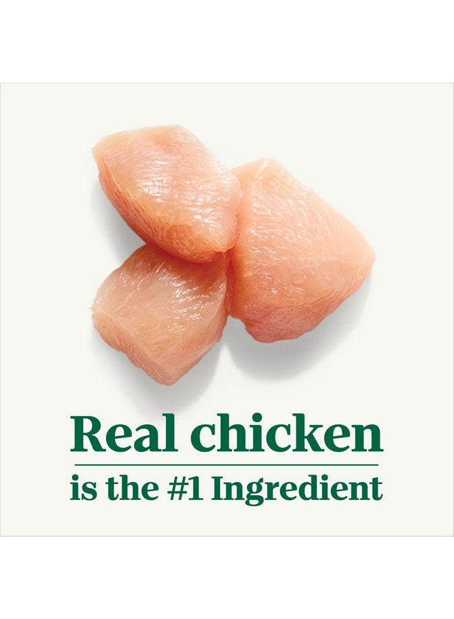 نوترو طعام كلاب NUTRO Adult الطبيعي الخالي من الحبوب، وصفة باتيه الدجاج المطبوخ ببطء، 3.5 أونصة (عبوة من 24 قطعة) - Image 4