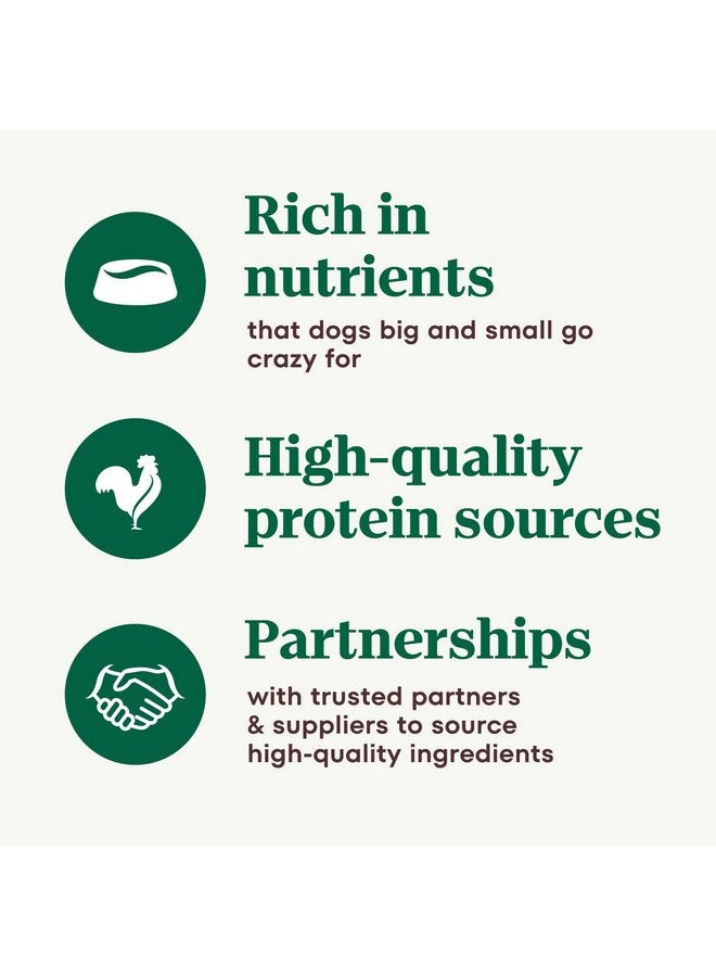 نوترو طعام كلاب NUTRO Adult الطبيعي الخالي من الحبوب، وصفة باتيه الدجاج المطبوخ ببطء، 3.5 أونصة (عبوة من 24 قطعة) - Image 5