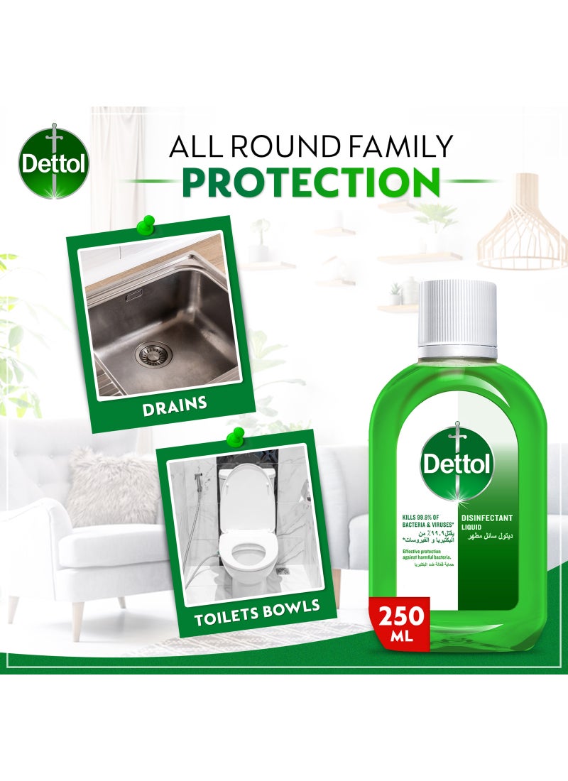 Dettol Anti Bacterial Antiseptic Disinfectant Green 250ml - Image 2