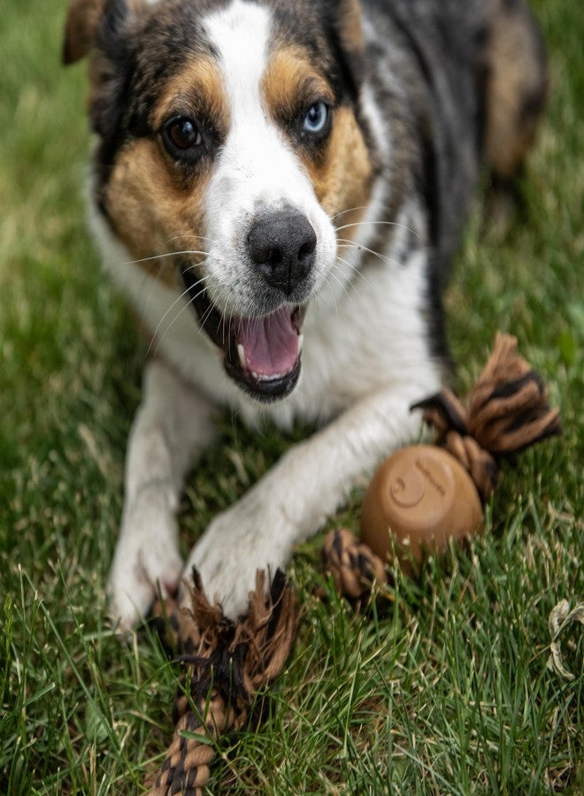 كارهارت أدوات تدريب الحيوانات الأليفة من كارهاارت، ألعاب متينة للكلاب للشد والجلب، حبل سحب مطاطي للكلاب - Image 4