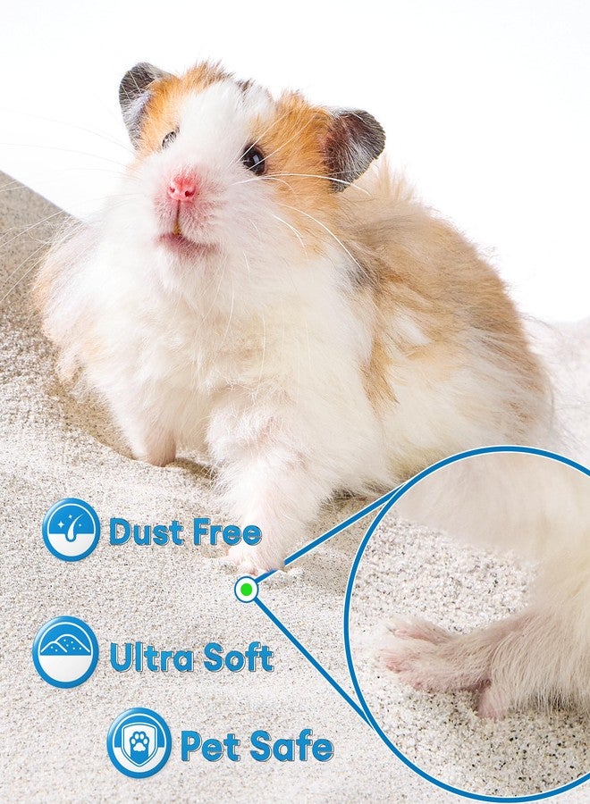 BUCATSTATE Hamster Sand 6.6LB, Highly Absorbent & Odor Control Potty Litter, Sand for Hamster Bath, Chinchillas, Gerbils, Mice, Degus and Other Small Pets (ZeoliteSand) - Image 3
