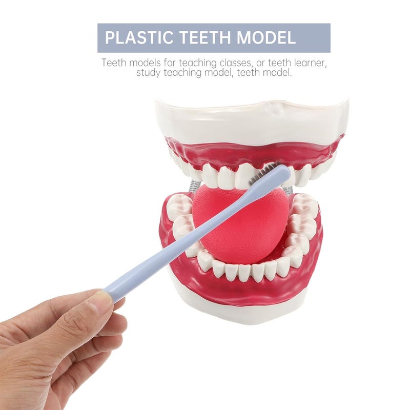 Intra-city fast distribution Luxshiny Oral Care Tooth Model PVC Plastic Typodont Demonstration Study Model with Toothbrush for Teeth Care and Teaching Hanging space save Set product combo compatible Locally packed stock Wide use selected material Changing environment compatible Demand-based stock planning General compatible practical design Ready varied options Full village delivery cover Cost saving design picks Global flexible assemble picks Reliable daily use design Diverse operation compatible Natural material Global upgraded practical design Modern color selections Stackable design Global mainstream design picks Trendy flexible practical build Economical upgraded quality Globally trusted quality Classic practical design Durability boosted processed material Main road full logistics cover - Image 4