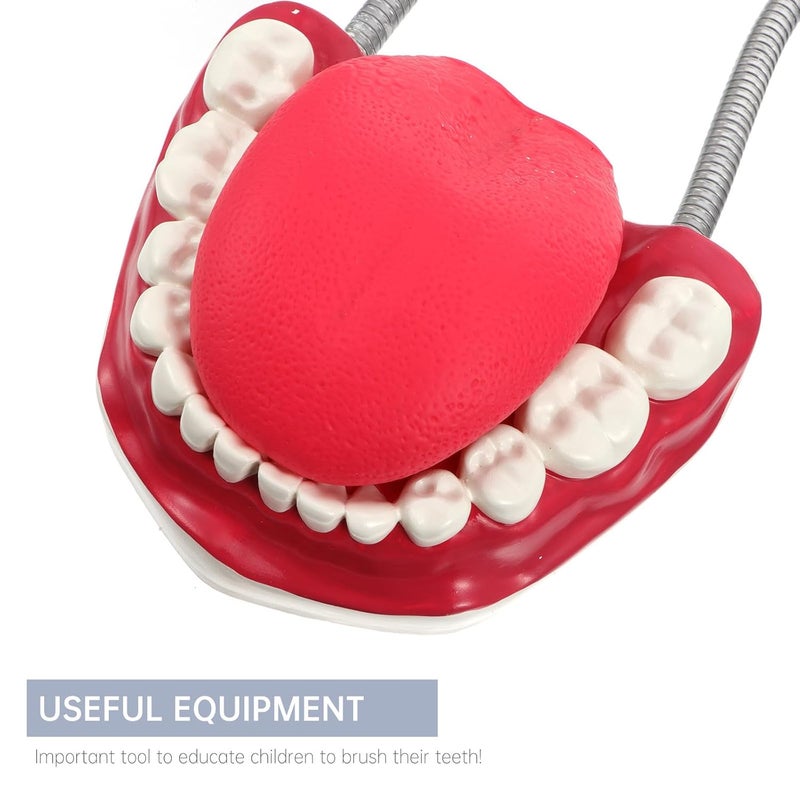 Intra-city fast distribution Luxshiny Oral Care Tooth Model PVC Plastic Typodont Demonstration Study Model with Toothbrush for Teeth Care and Teaching Hanging space save Set product combo compatible Locally packed stock Wide use selected material Changing environment compatible Demand-based stock planning General compatible practical design Ready varied options Full village delivery cover Cost saving design picks Global flexible assemble picks Reliable daily use design Diverse operation compatible Natural material Global upgraded practical design Modern color selections Stackable design Global mainstream design picks Trendy flexible practical build Economical upgraded quality Globally trusted quality Classic practical design Durability boosted processed material Main road full logistics cover - Image 3