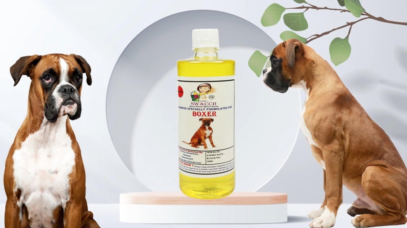 Swacch Shampoo Specially Formulated for Boxer (500ml) Lemon - Image 1