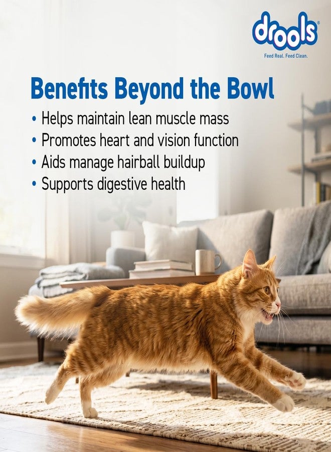 Drools Adult Dry Cat Food 3kg | Real Chicken | Skin Health | Hairball Protection | Vision Support | Complete Nutrition - Image 5